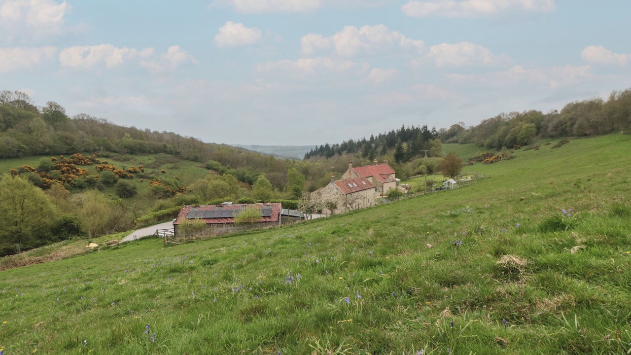 Photo of Outdoor in Scawton