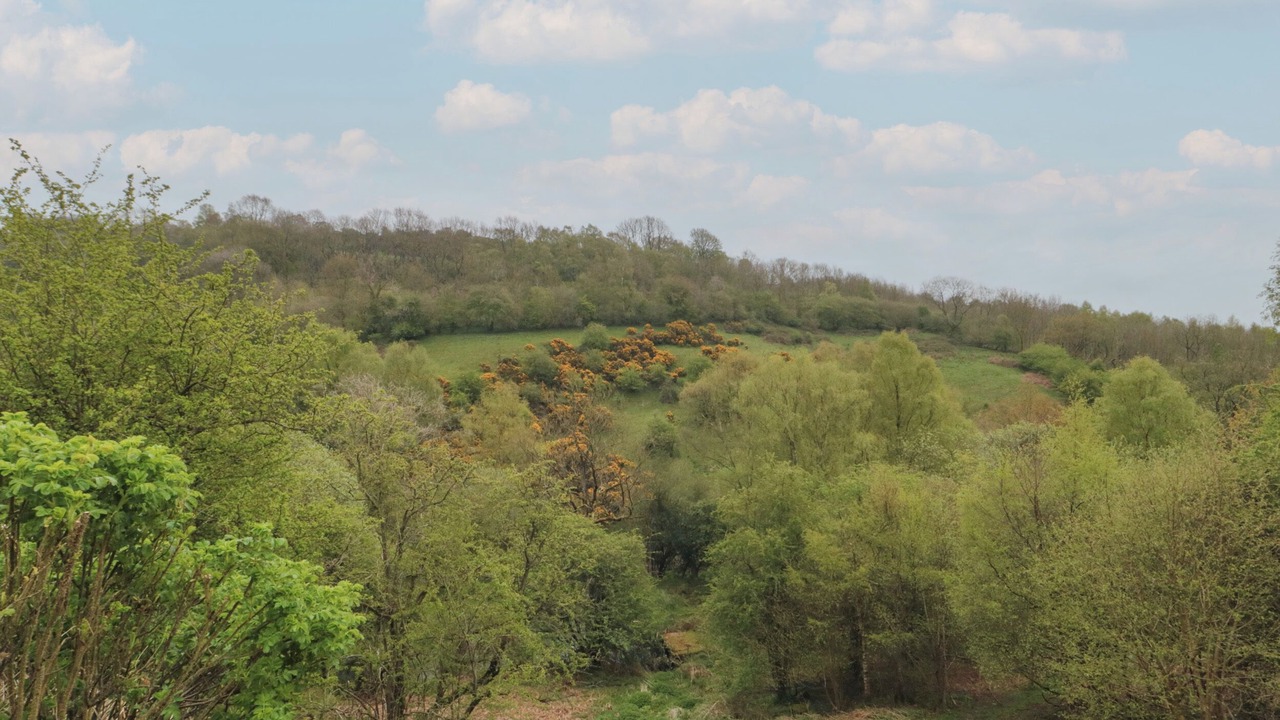 Photo of Bathroom in Scawton