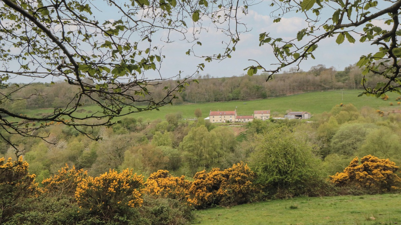 Photo of Others in Scawton