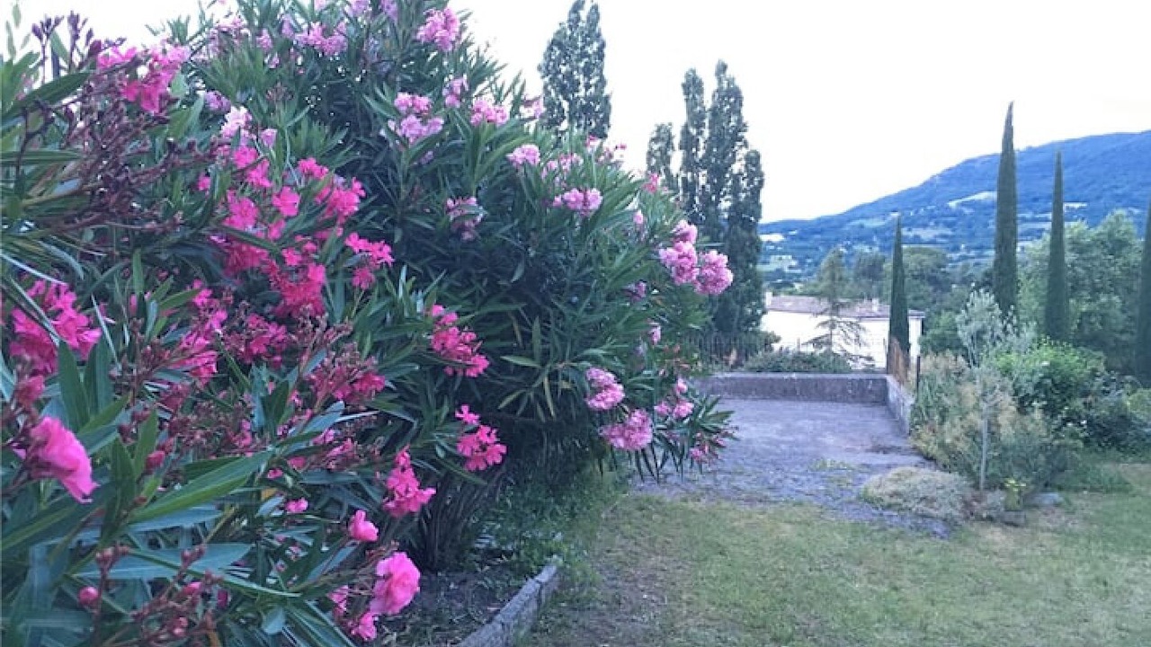 Photo of Outdoor in Chomerac