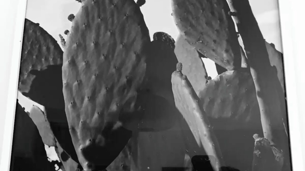 Photo of Others in Cholet