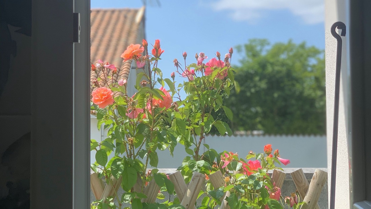 Photo of Others in Le Chateau-d'Oleron