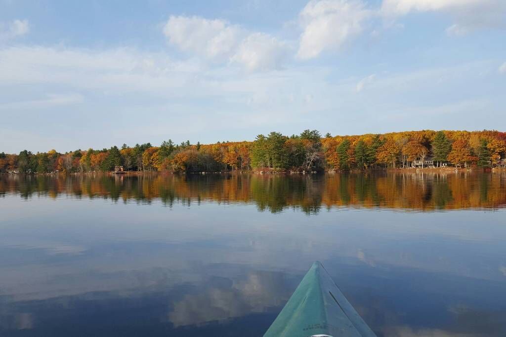 Photo of Others in Lyman