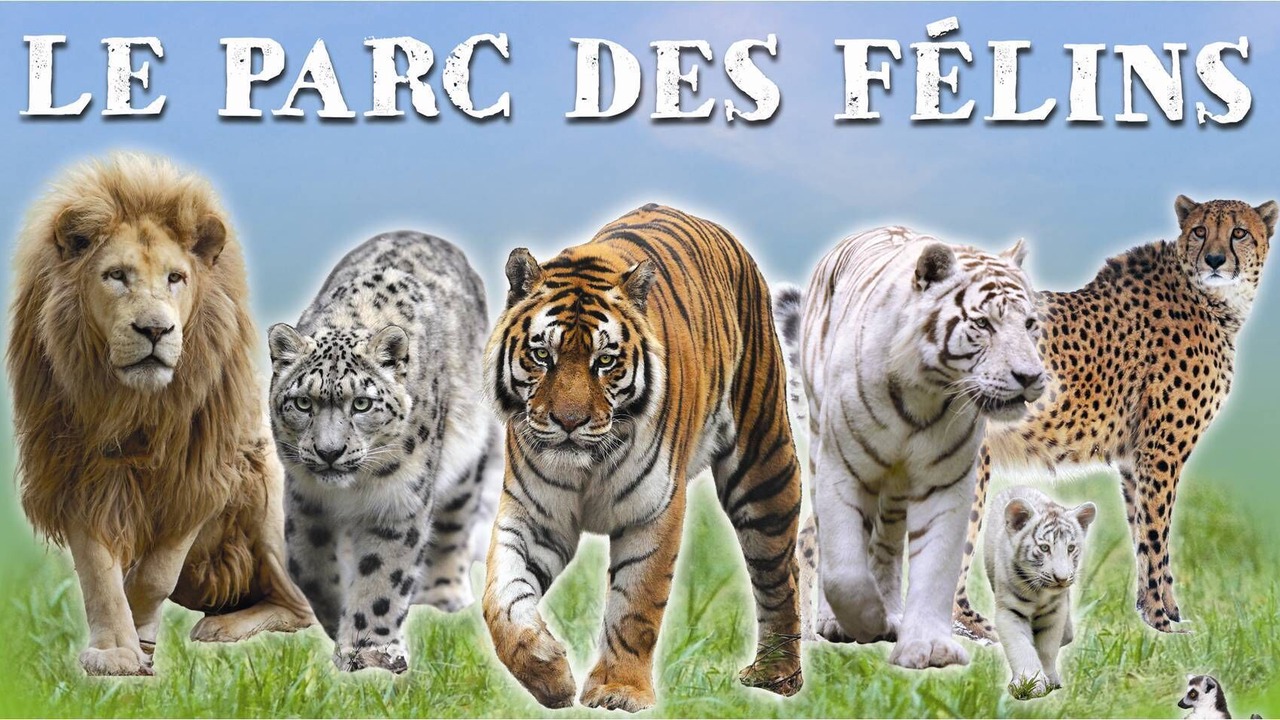 Photo of Others in Monthyon