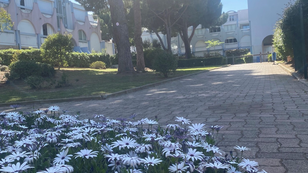 Photo of Outdoor in Le Grau-Du-Roi