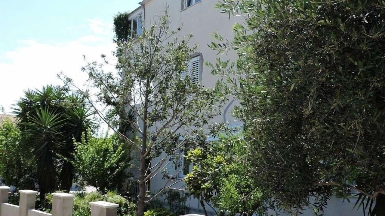Photo of Outdoor in Orebic