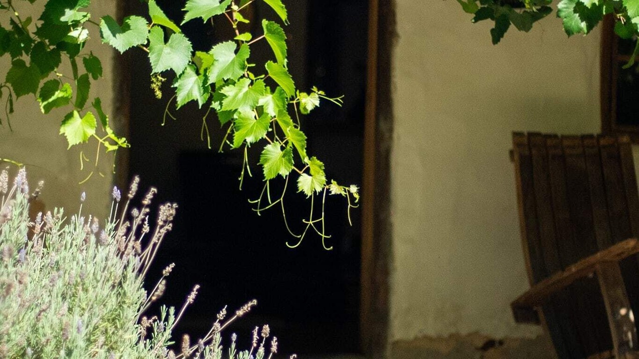 Photo of Outdoor in Jutland