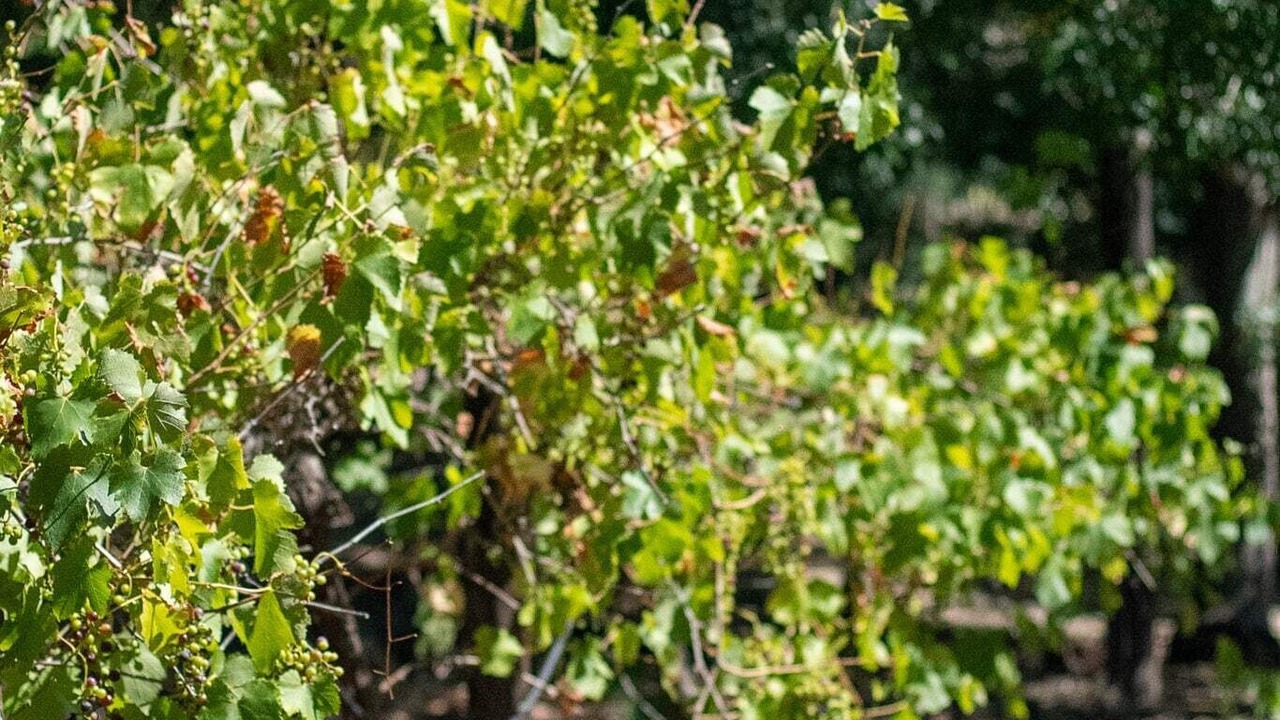 Photo of Outdoor in Jutland