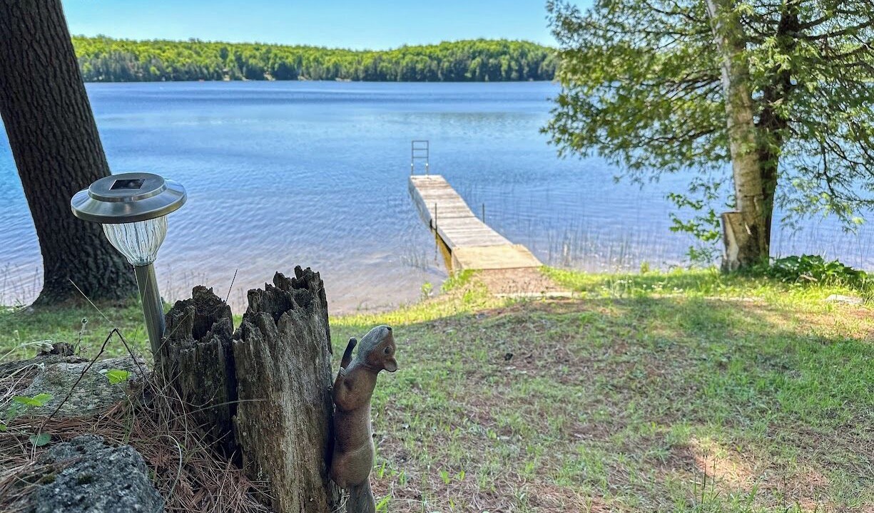 Photo of Outdoor in Irondale