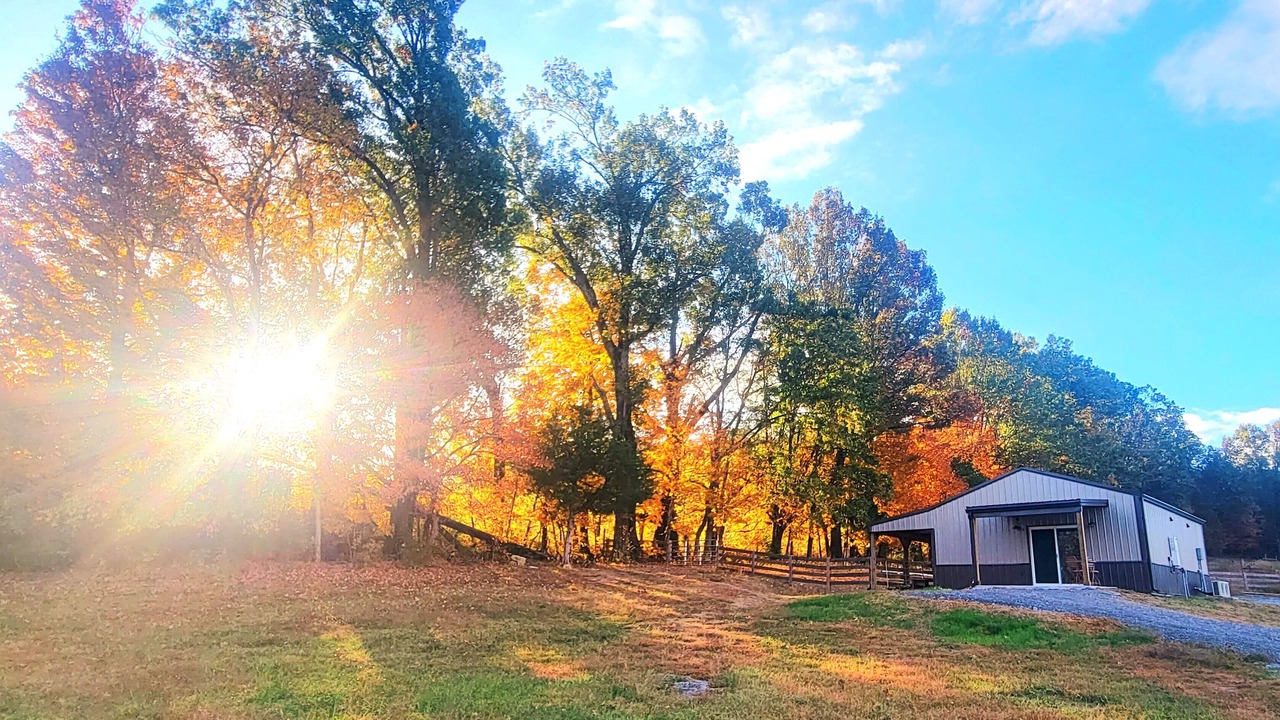 Photo of Outdoor in Readyville