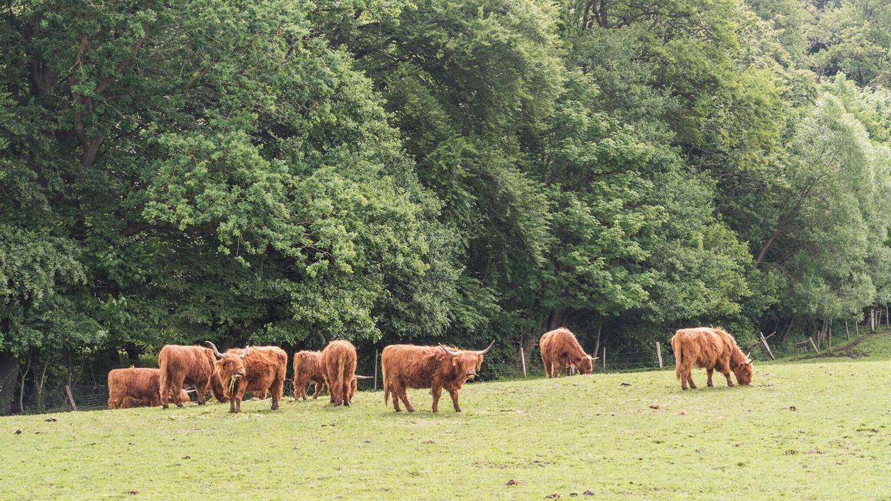 Photo of Others in Kelstrup