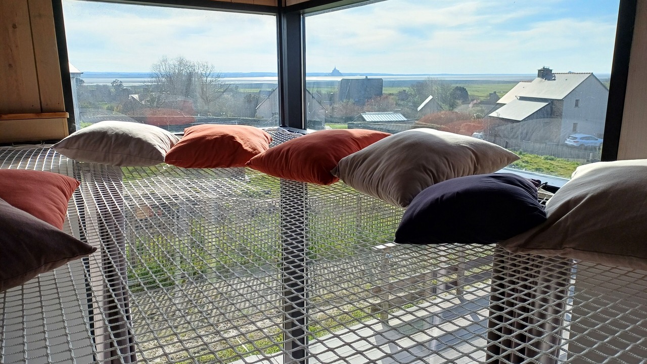 Photo of Others in Vains