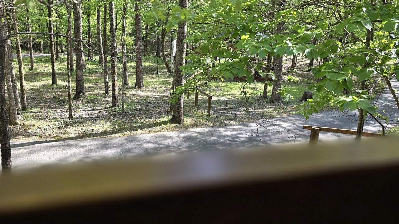 Photo of Outdoor in Board Camp