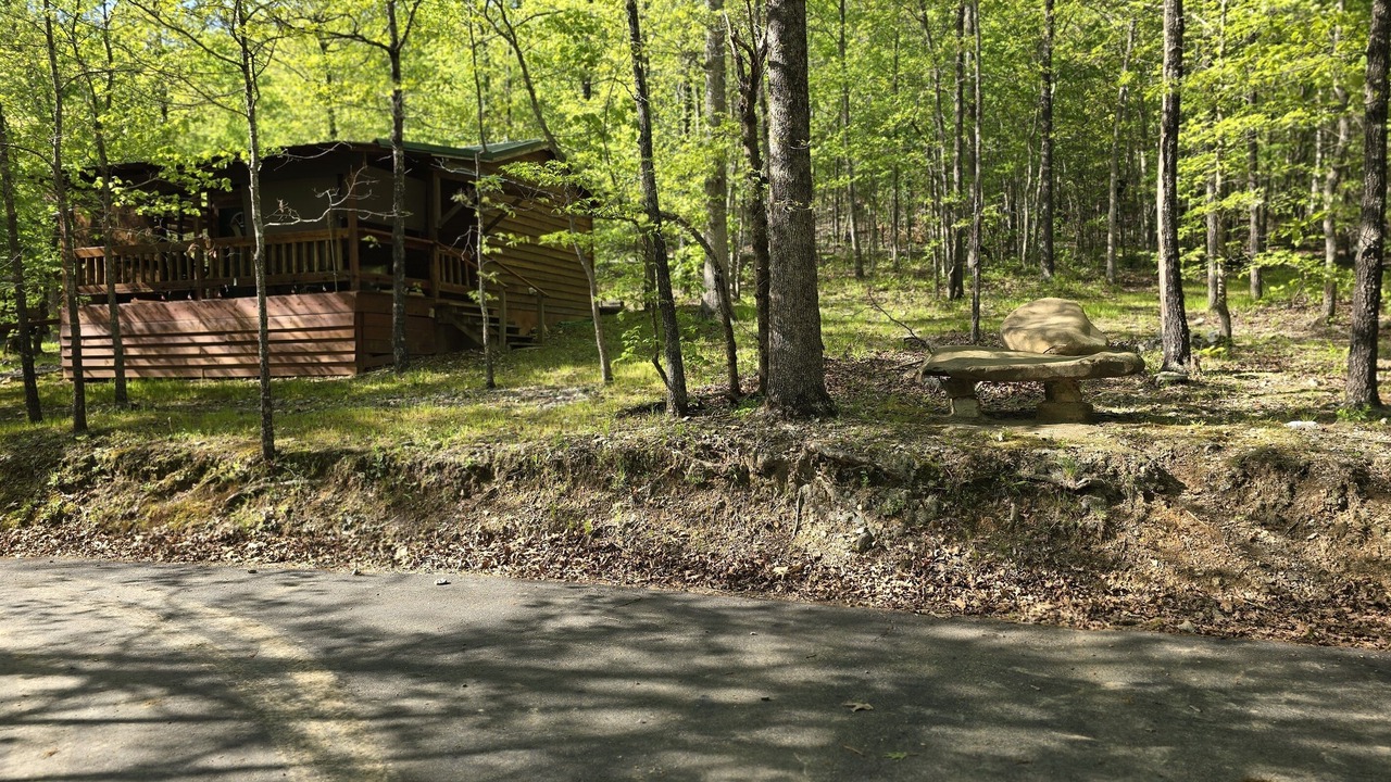 Photo of Others in Board Camp
