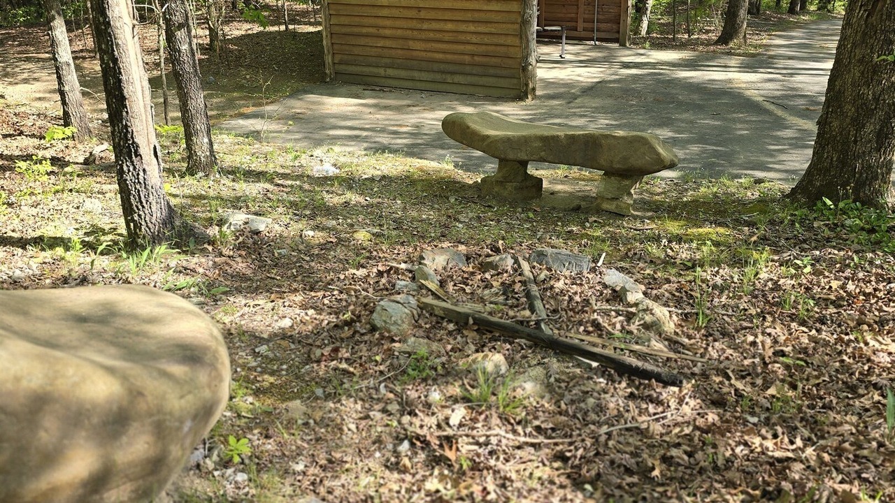 Photo of Others in Board Camp