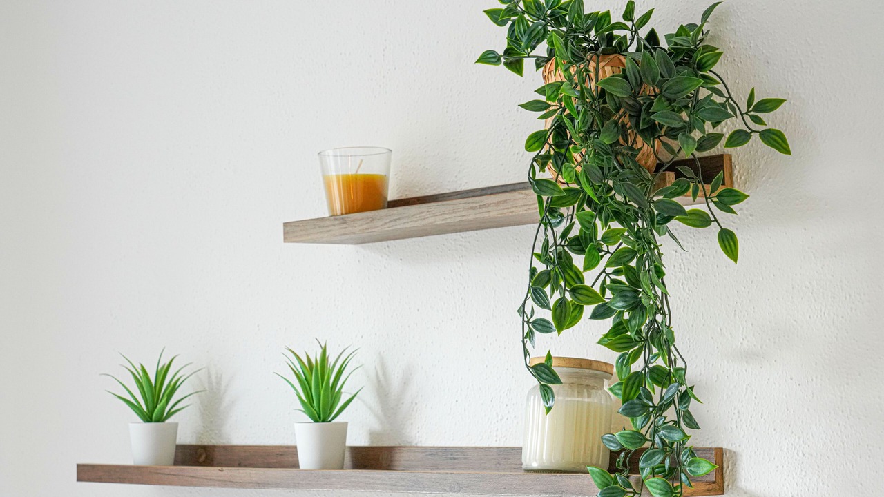 Photo of Others in Luton