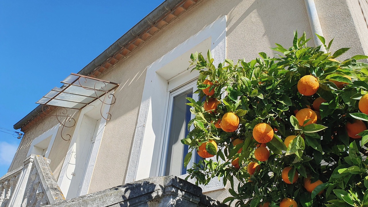 Photo of Outdoor in Homps