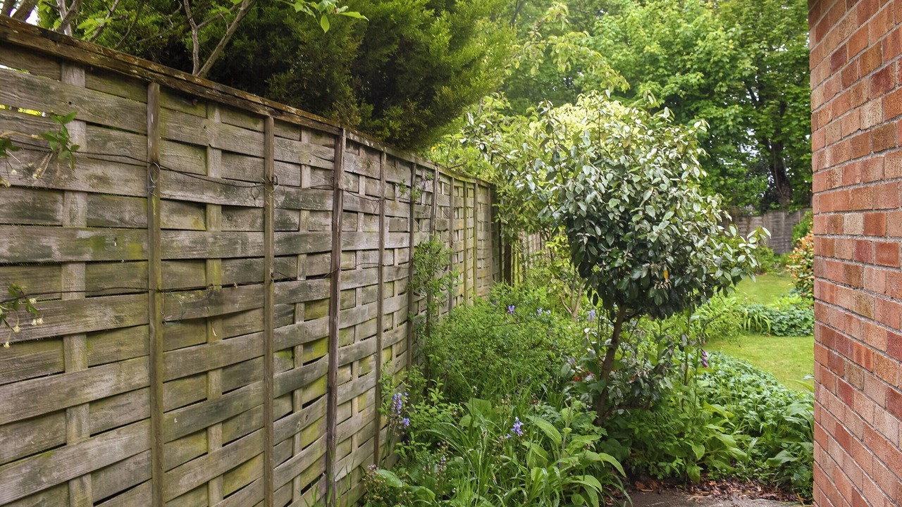 Photo of Outdoor in Corton