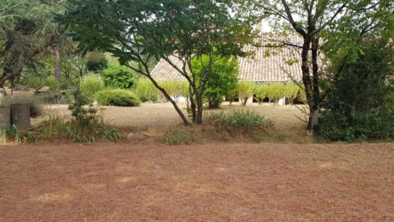 Photo of Outdoor in Sistels