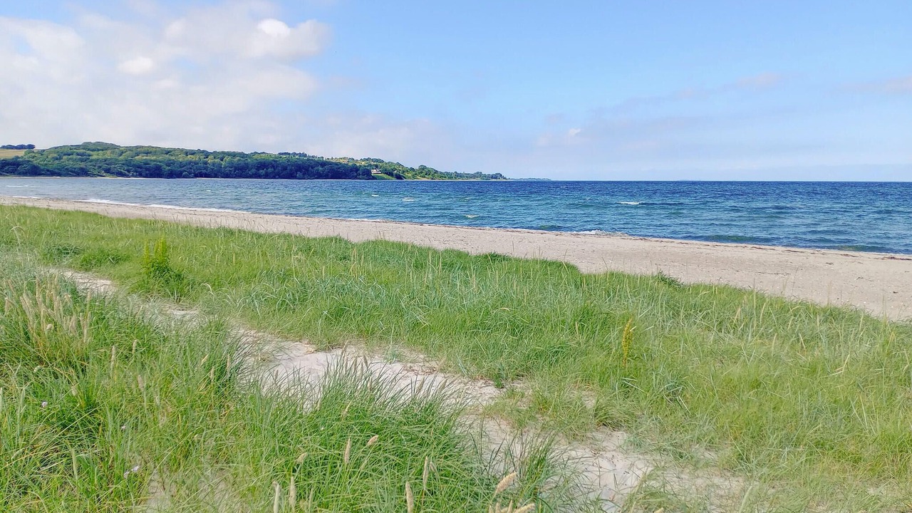 Photo of Others in Hoeve Strand