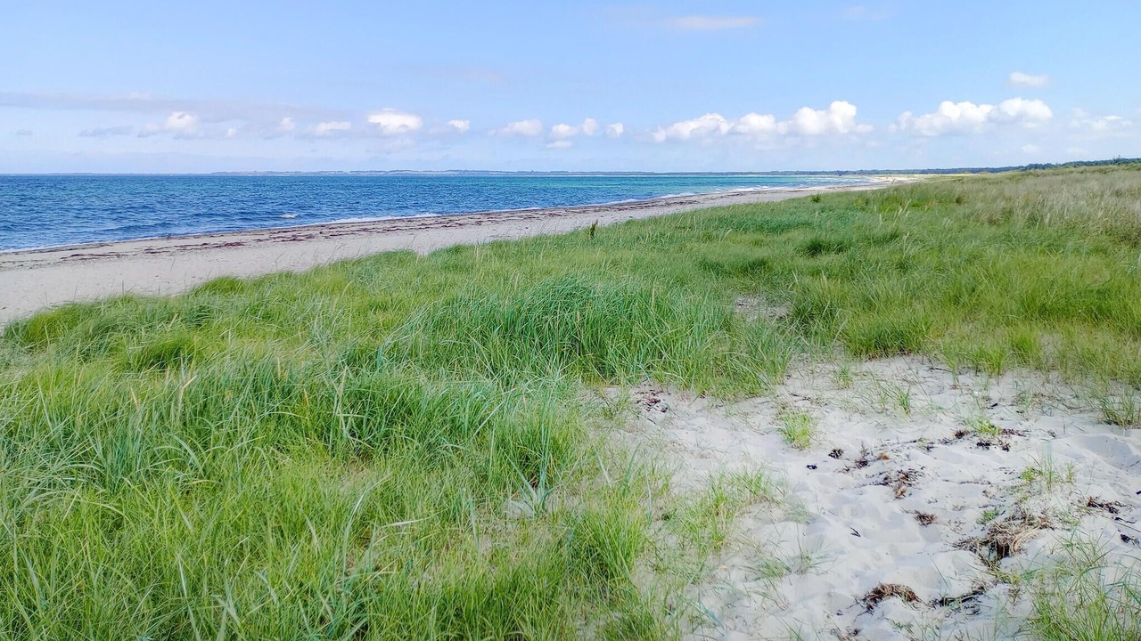 Photo of Others in Hoeve Strand