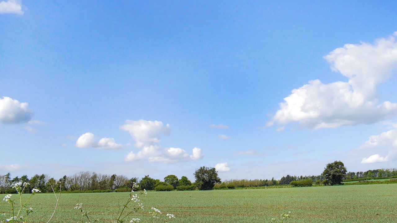 Photo of Others in North York Moors National Park