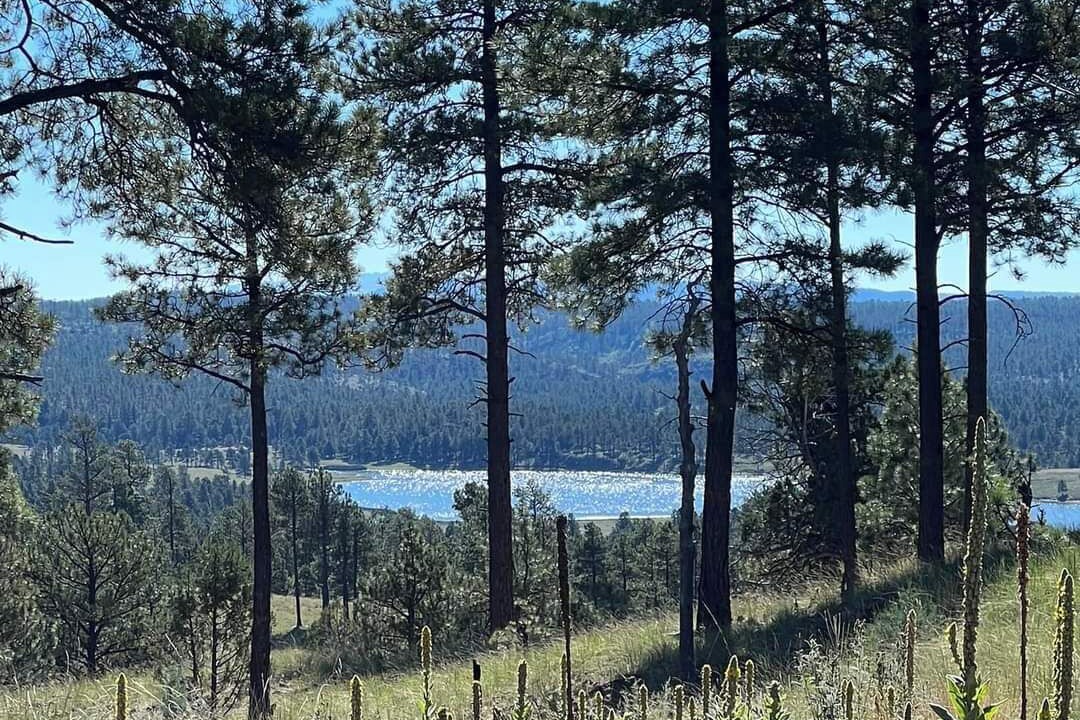 Photo of Outdoor in Blue