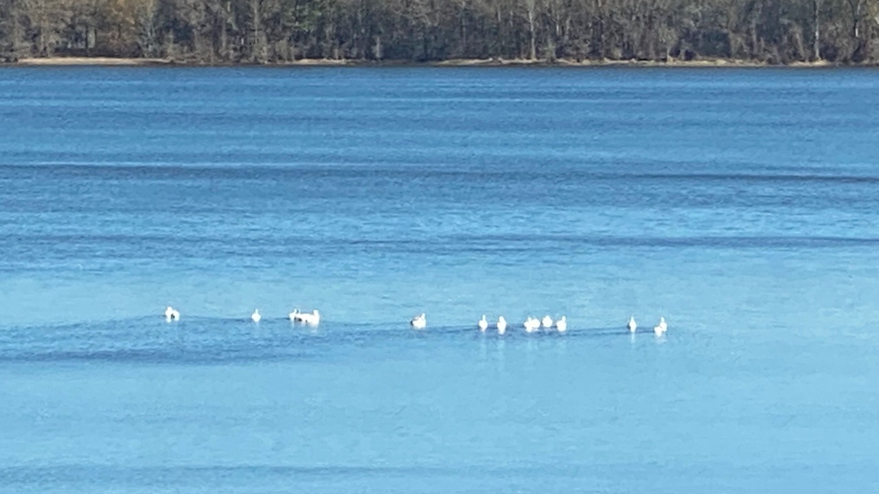 Photo of Others in Natchitoches