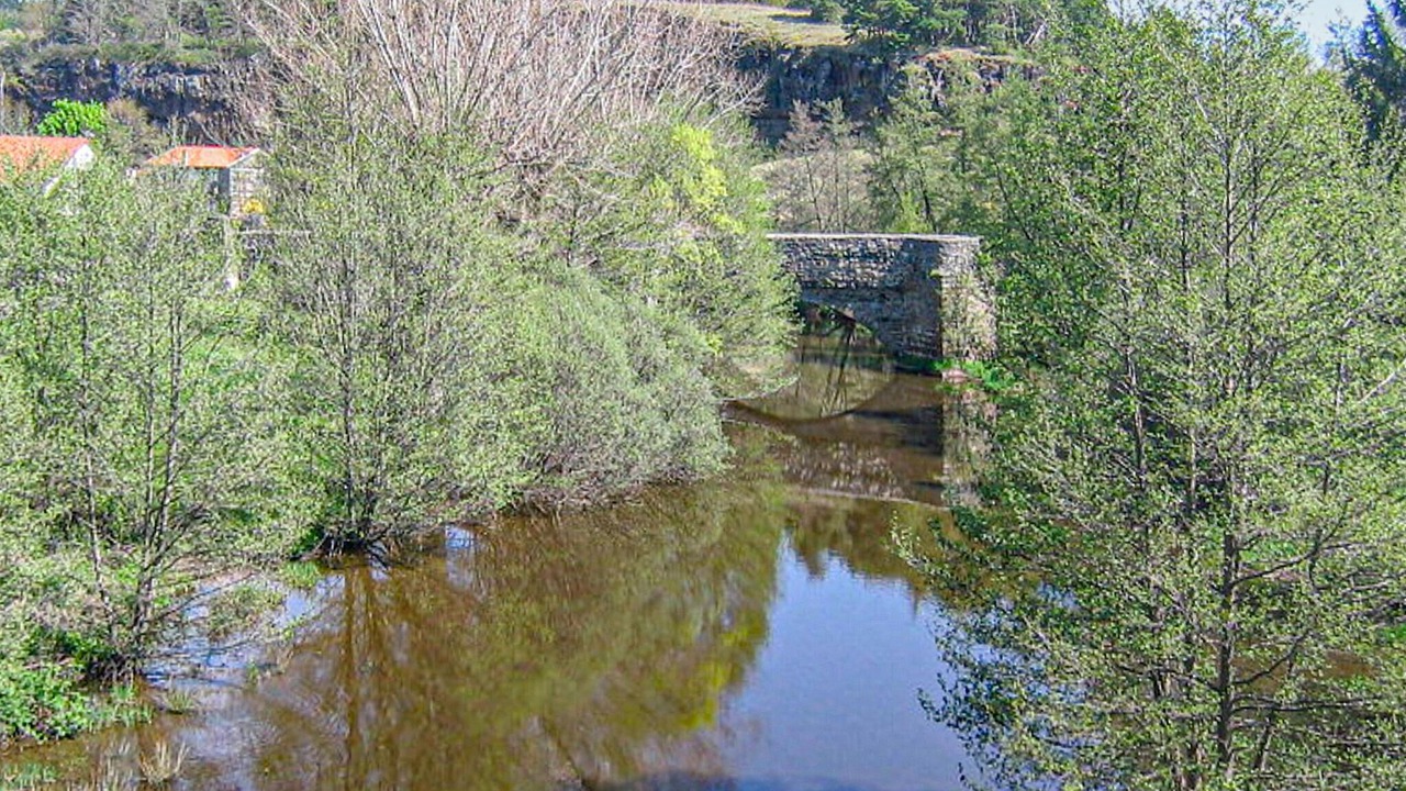 Photo of Others in Ceaux-d'Allegre