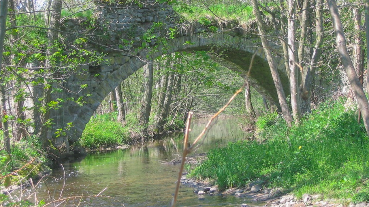 Photo of Others in Ceaux-d'Allegre