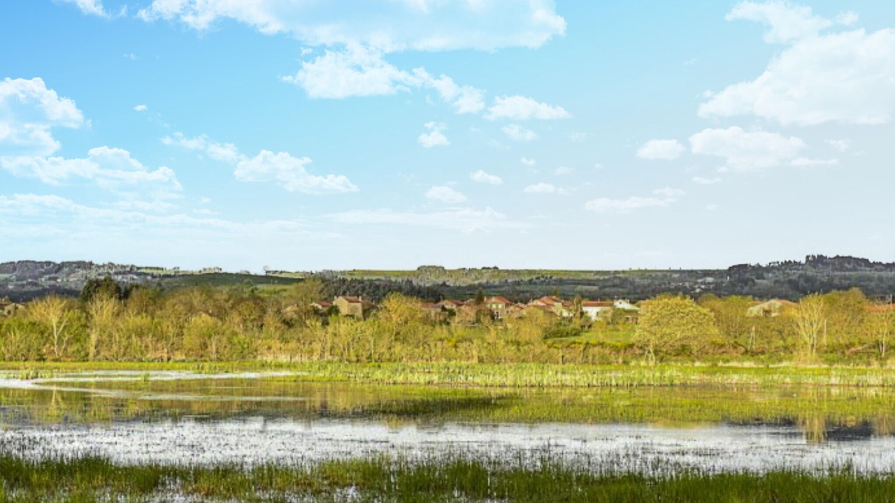 Photo of Others in Ceaux-d'Allegre