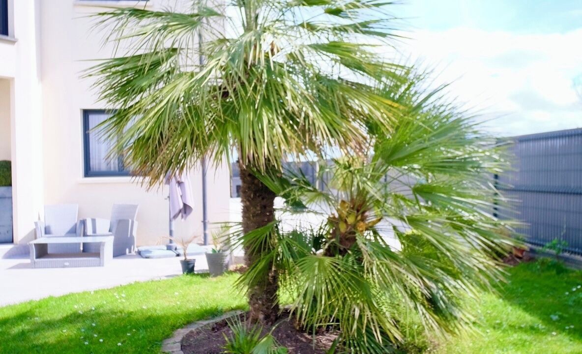 Photo of Patio Balcony in Demouville