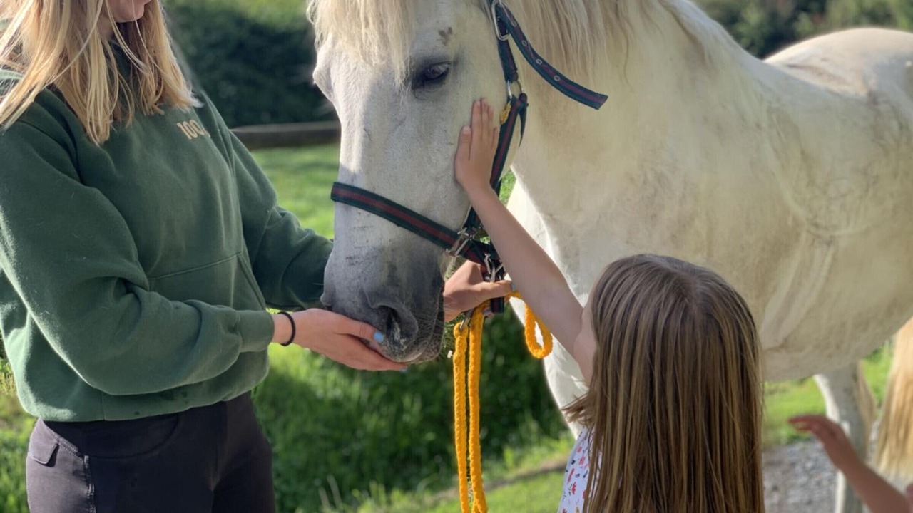Photo of Others in Sainte-Marie-du-Mont