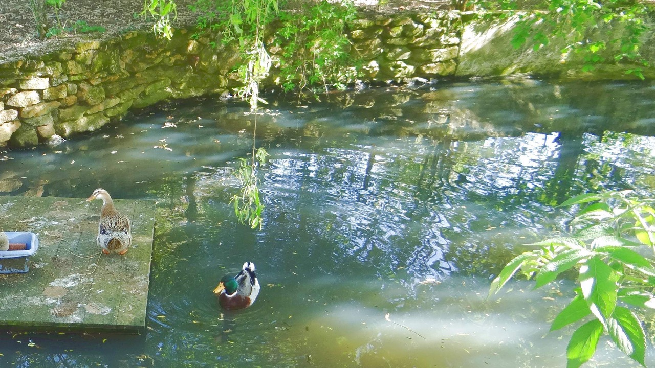 Photo of Others in Rueil-la-Gadeliere