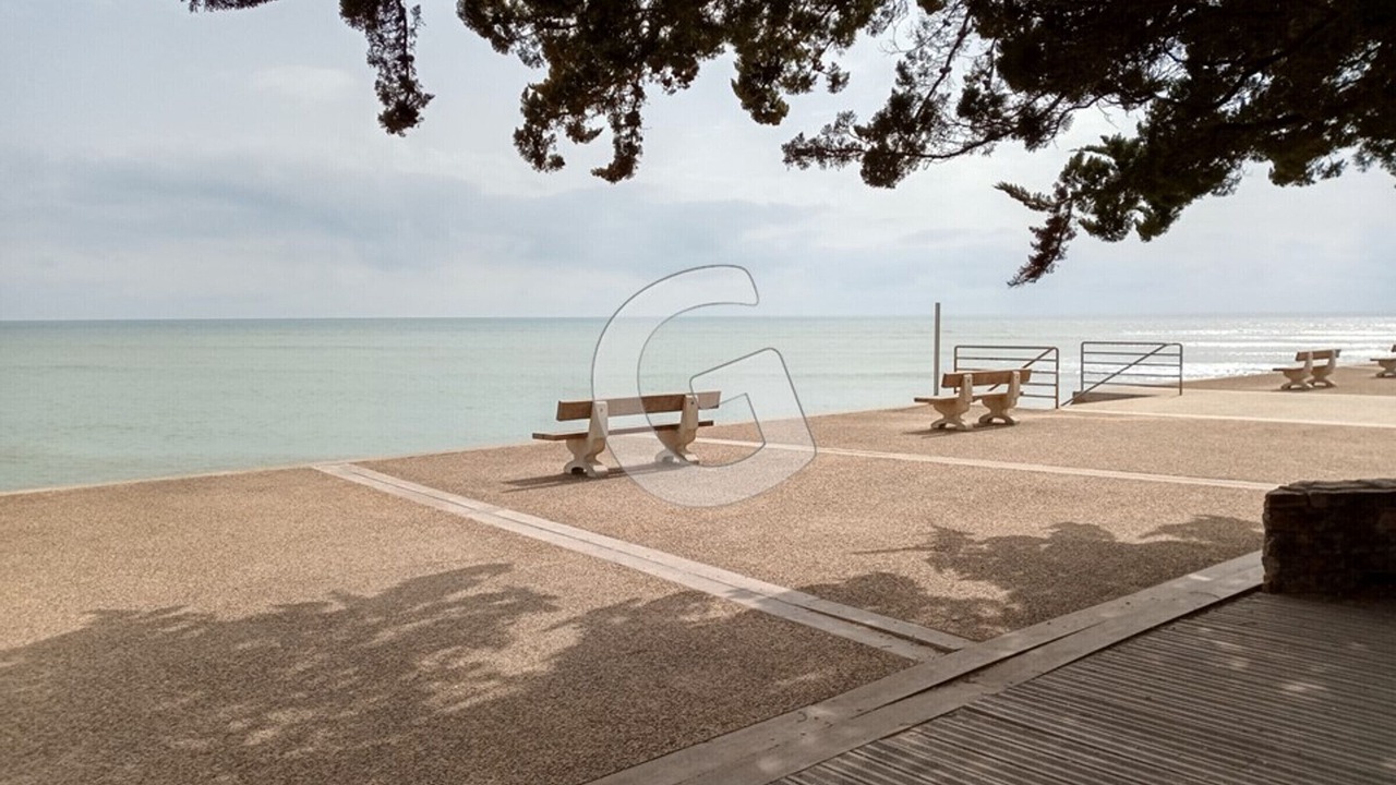 Photo of Others in Saint-Vincent-sur-Jard