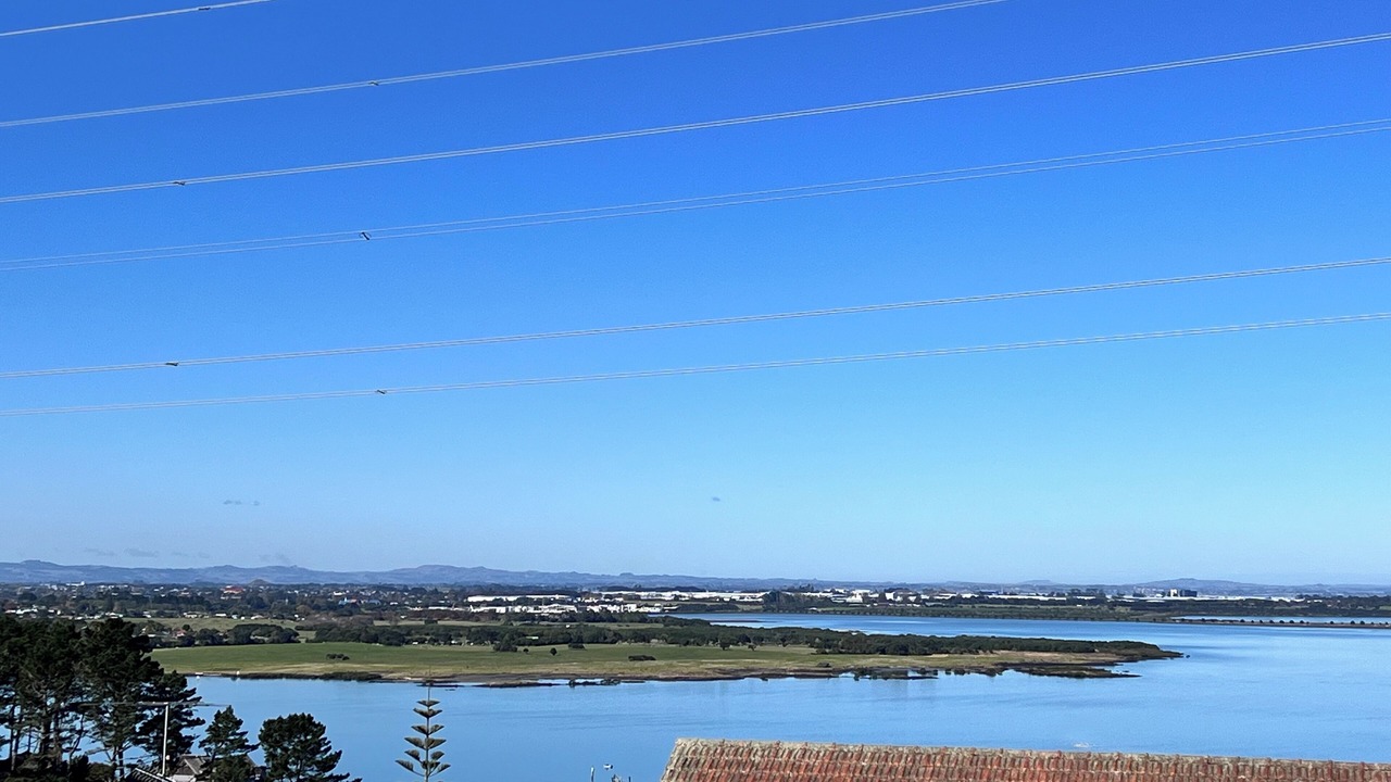 Photo of Others in Hillsborough