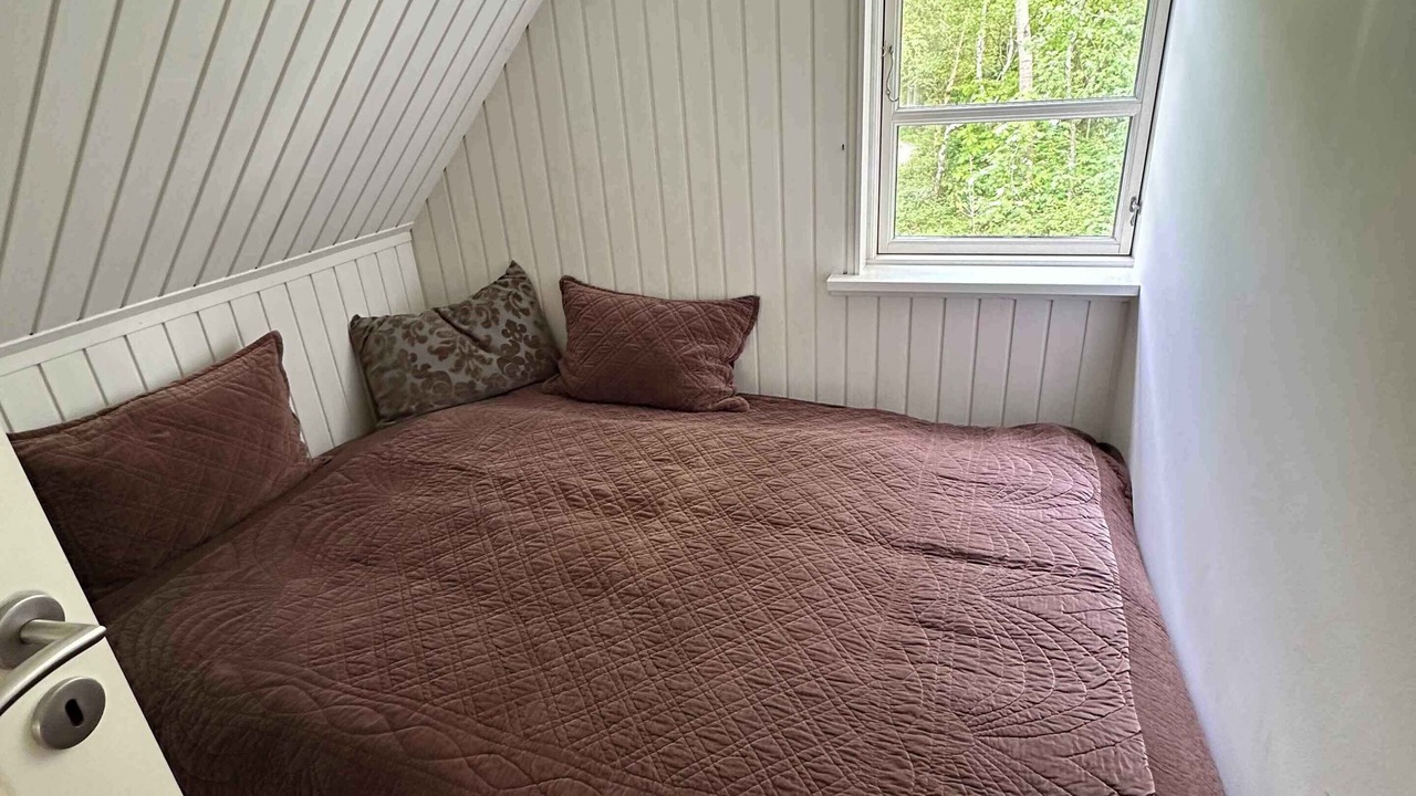 Photo of Others in Skodshoved