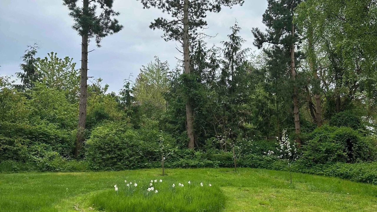 Photo of Others in Skodshoved