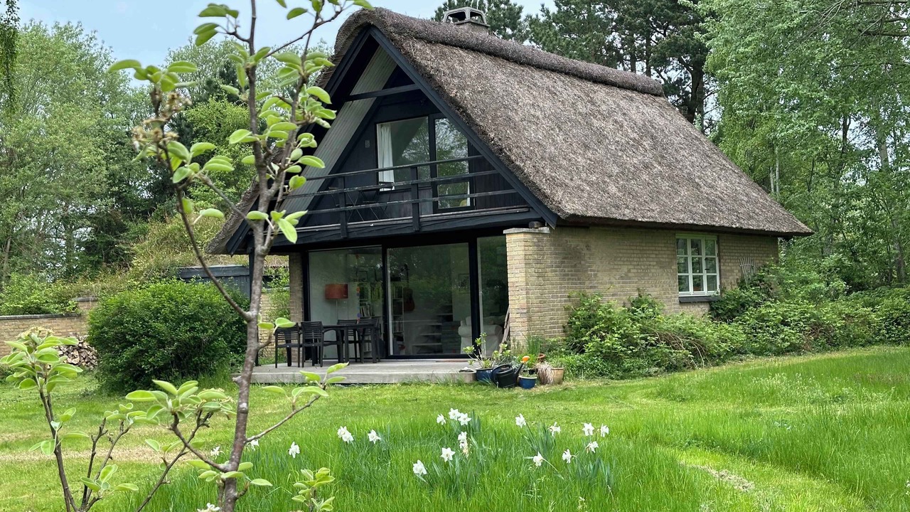 Photo of Others in Skodshoved