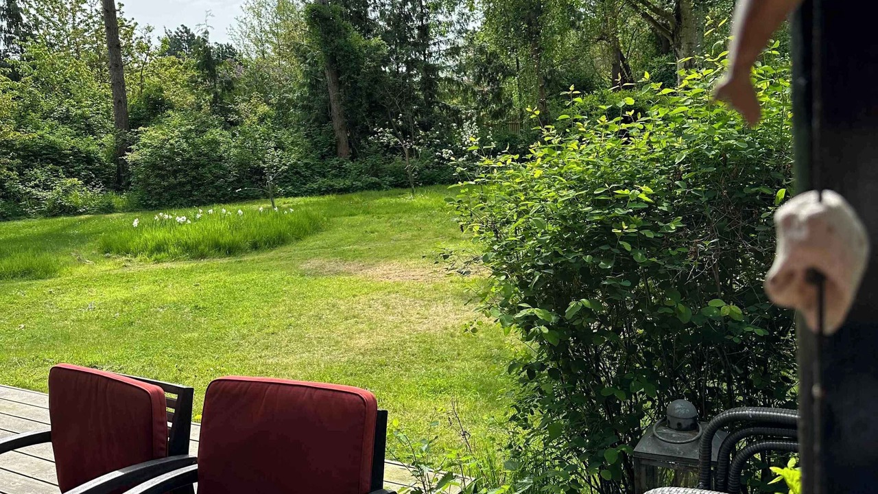 Photo of Others in Skodshoved