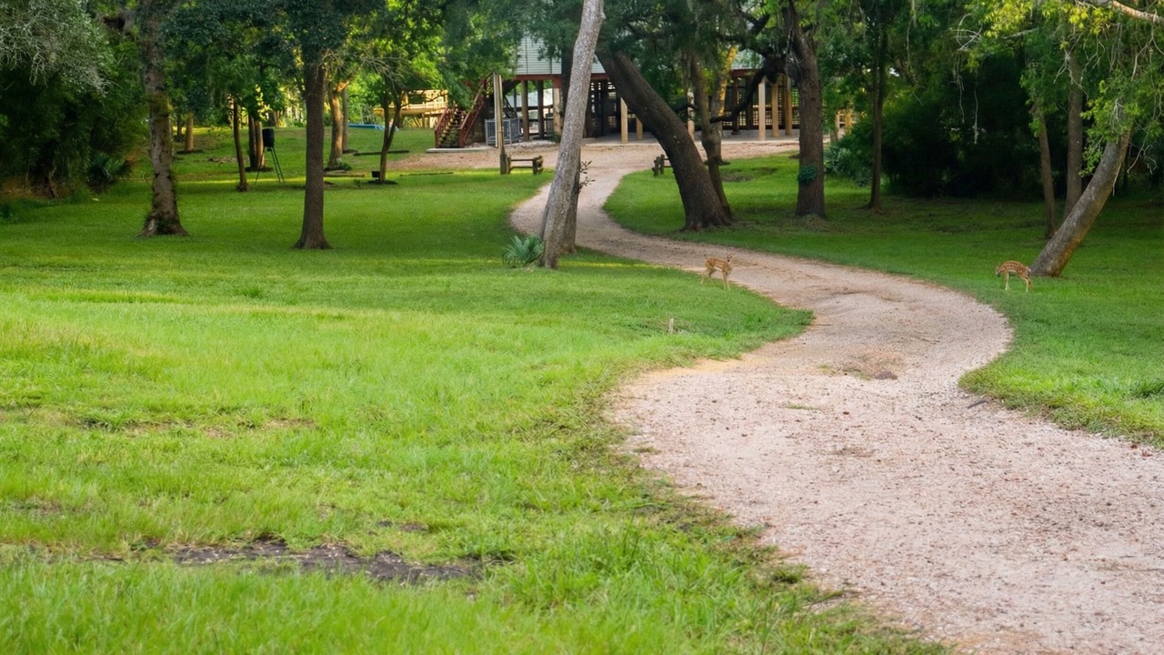 Photo of Outdoor in Cedar Lane