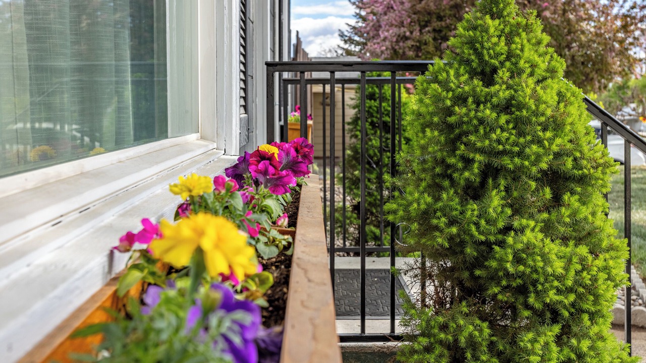 Photo of Outdoor in Yakima