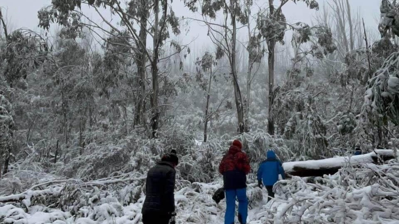 Photo of Others in Buxton