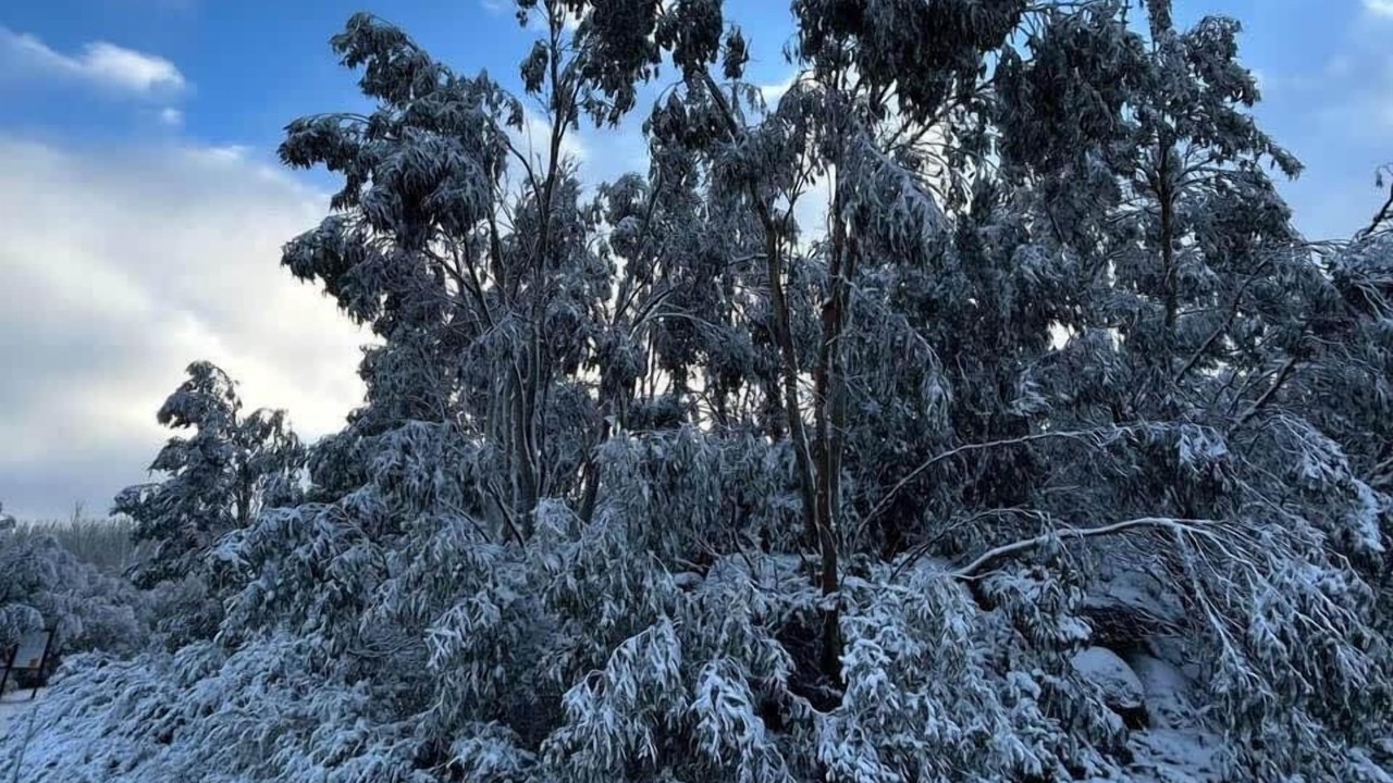 Photo of Others in Buxton