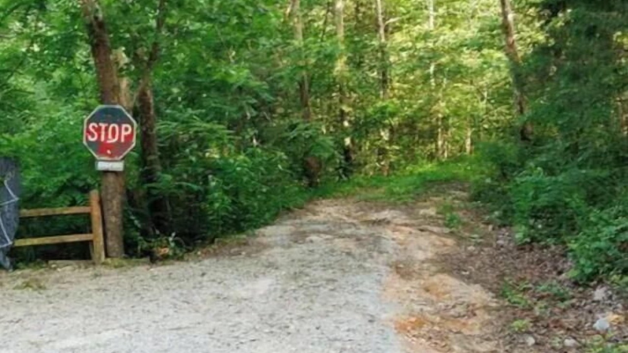 Photo of Outdoor in Lobelville