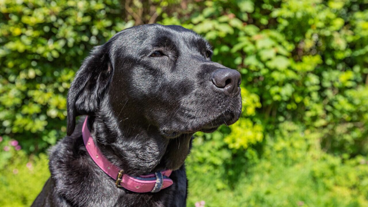 Photo of Others in Watchet