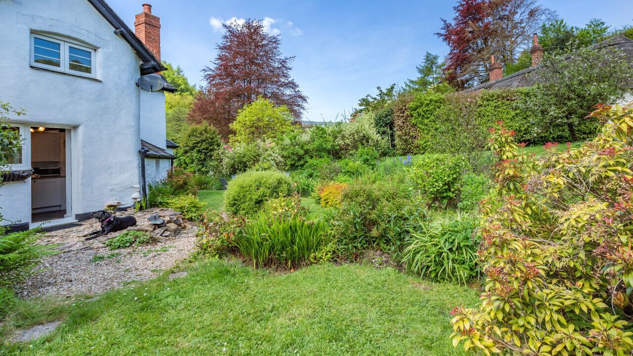 Photo of Outdoor in Watchet