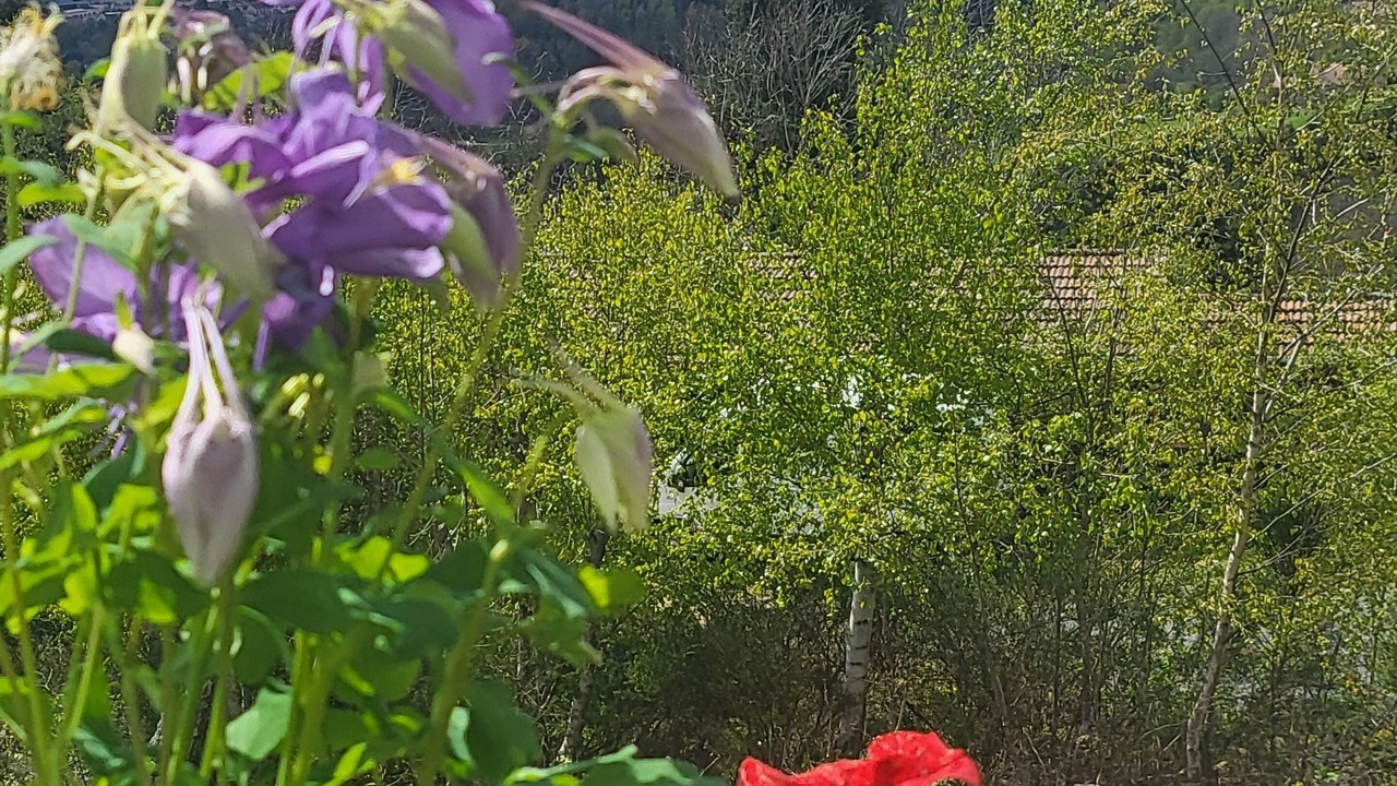 Photo of Outdoor in Fraize