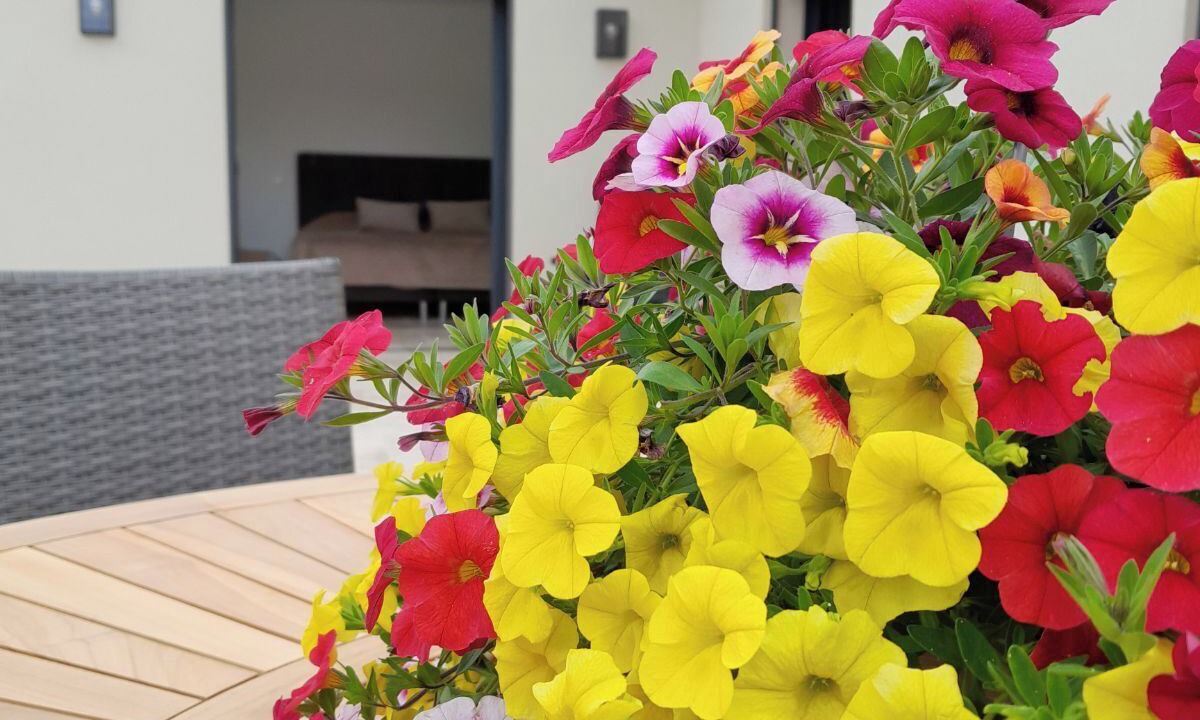 Photo of Outdoor in Faucon