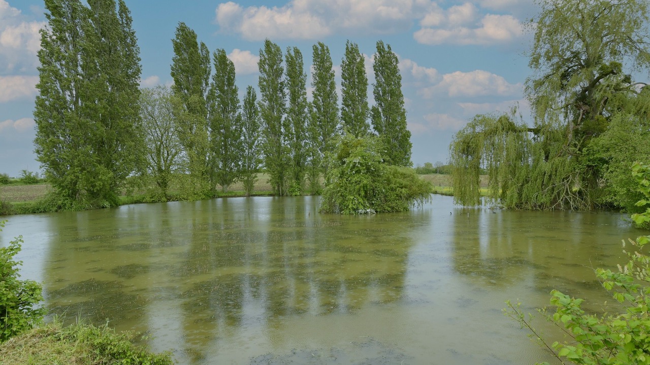 Photo of Outdoor in Auvers-sous-Montfaucon